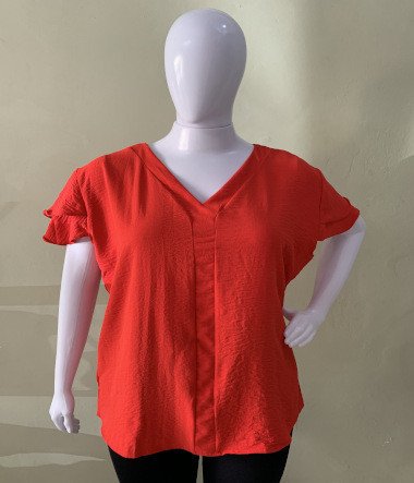 Blusa gola V