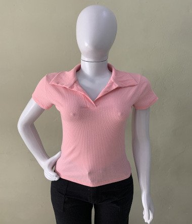 Blusa com gola